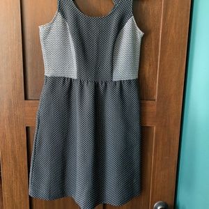 The Limited Polka Dot/Color Block Dress